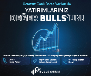 bulls 300x250 şubat