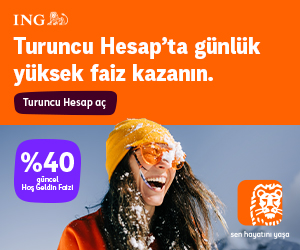 ing 300x250 şubat