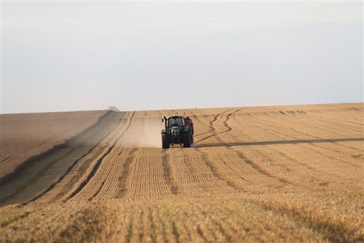 Rusya'dan Zimbabve'ye 50 bin ton tahıl