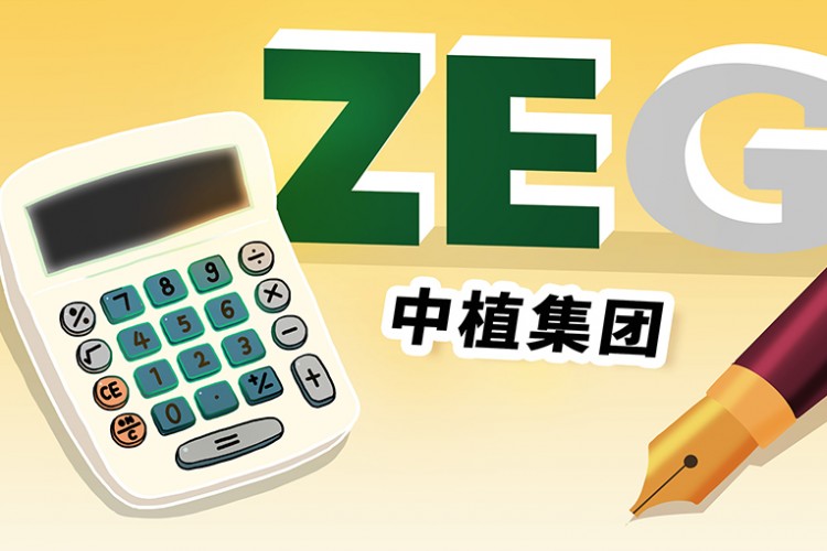 Çinli varlık şirketi ZEG, "ağır iflas durumunda"