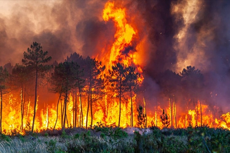Orman yangınlarında krom zehirli forma dönüşüyor
