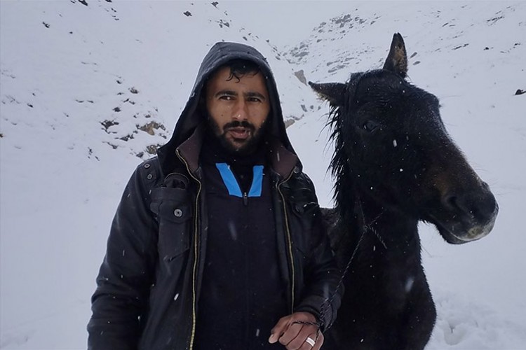 Hakkari'de yaralı at mahsur kaldığı yaylada ekiplerce kurtarıldı
