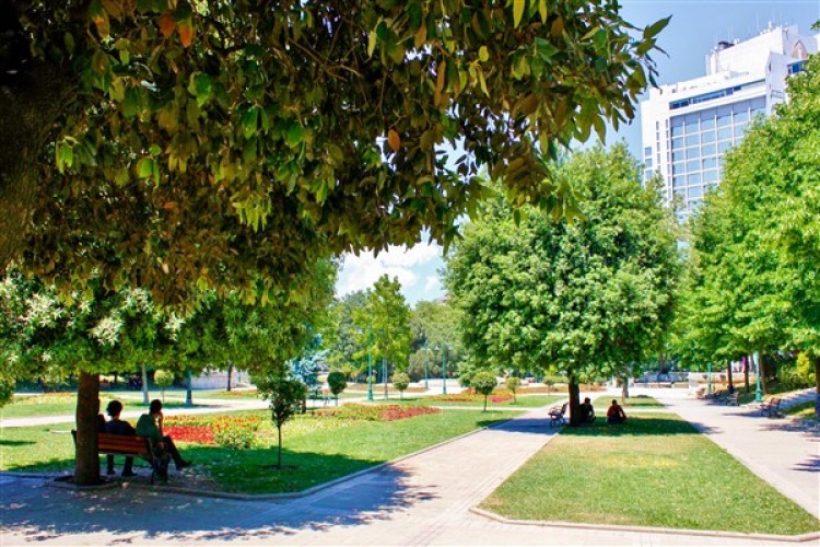 Taksim Gezi Parkı'nın mülkiyetinin Sultan Bayezid Vakfı'na devri