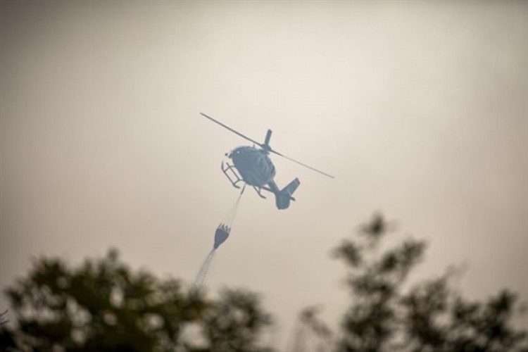 Antalya, İzmir ve Bursa'da orman yangını