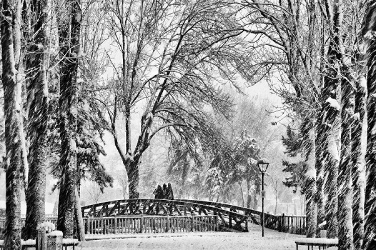 "Güzellikleriyle Adapazarı" fotoğraf yarışması sonuçları açıklandı