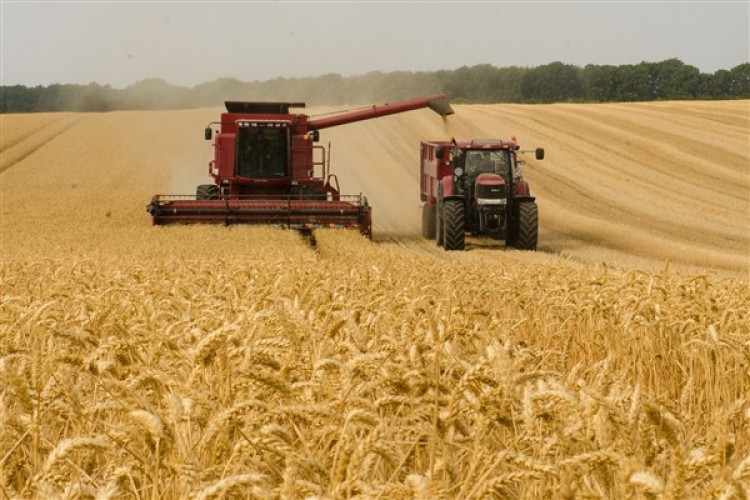 TÜİK-Tarım ürünleri üretici fiyatları Şubat'ta yıllık yüzde 58,29 arttı