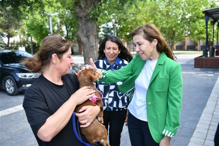 VETBÜS'ün tedavi ettiği can dost sahiplendirildi