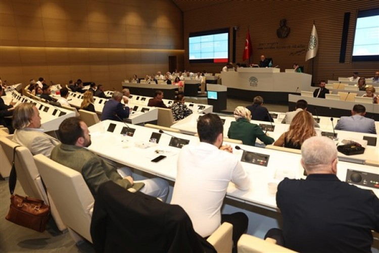 Nilüfer'de Sokak Hayvanları Komisyonu kurulacak