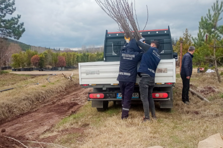 Eskişehir'den İzmir'e dut fidanı hibesi