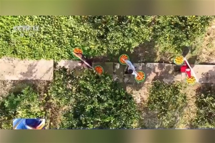 Çin'de köylülerin gelirleri yüzde 7,6 arttı