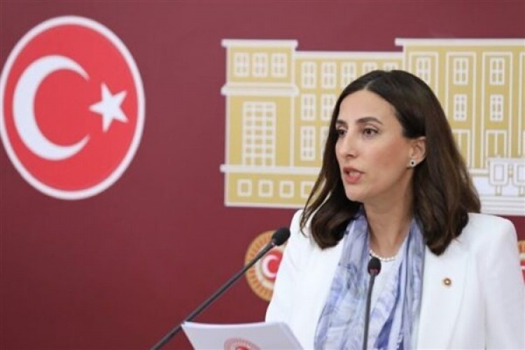 Milletvekili Rızvanoğlu İliç'te yaşanan çevre felaketini TBMM gündemine taşıdı