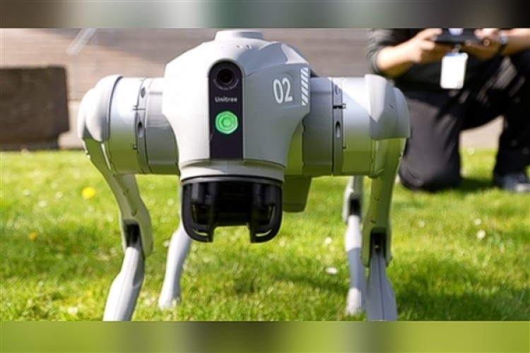Yapay zekalı robot köpek, Hannover Fuarı'nın gözdesi oldu