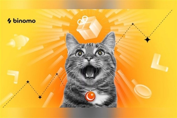 Binomo, sokak hayvanlarına güvenli bir yaşam alanı oluşturuyor