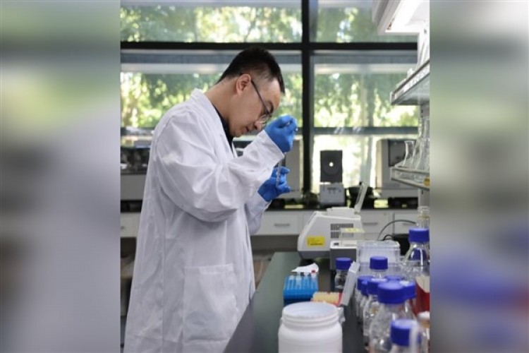 Çin'in Ar-Ge harcamaları 457,5 milyar doları aştı