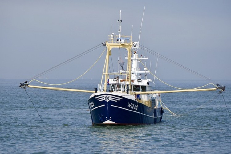 Denizlerde av yasağı başladı