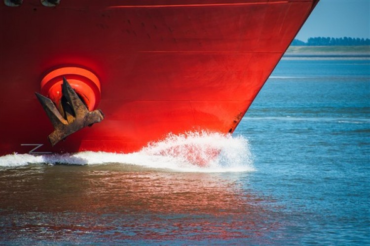 Neco Maritime, gemi alacak