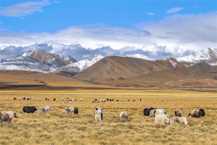 Doğa kanunlarına uygun şekilde, canlılarla uyum içinde yaşamak