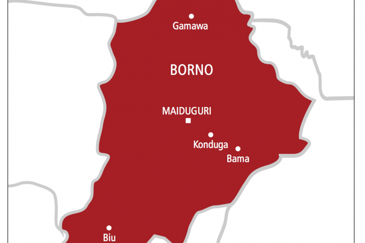 Nijerya'da onlarca kişi canlı bomba saldırısında öldürüldü