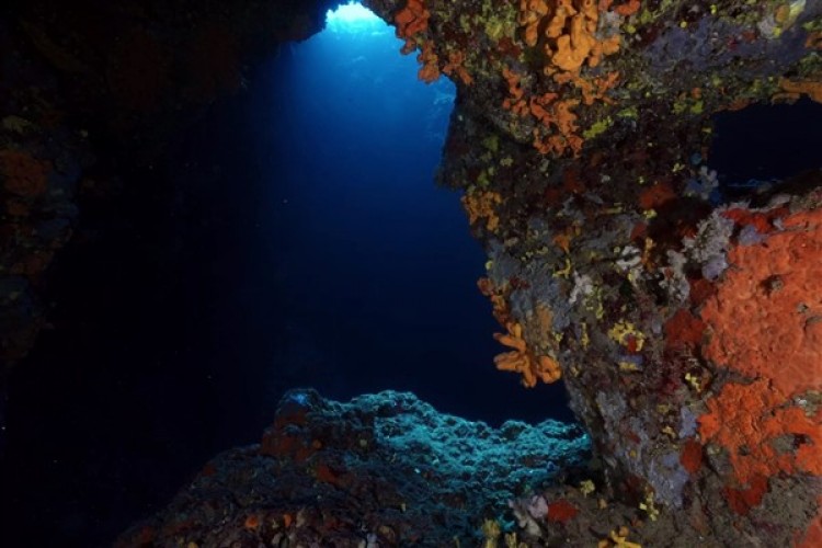 2024 Houston Underwater Film Festivali'nde Eskişehir üçüncü oldu