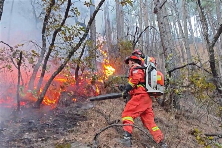 Sichuan'daki orman yangını