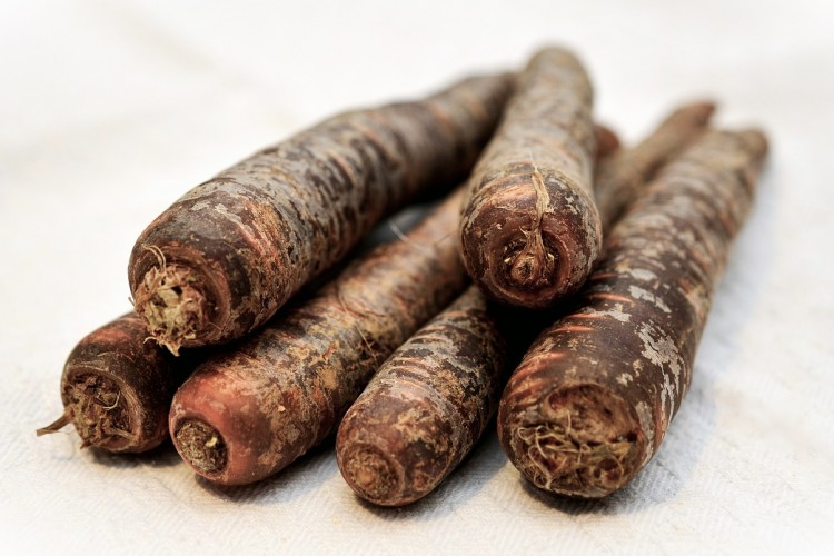 Konfrut AG'nin siyah havuç hasadı