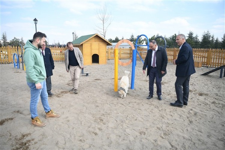 Kayseri Büyükşehir'in Köpek Eğitim Parkuru hizmet vermeye başlıyor