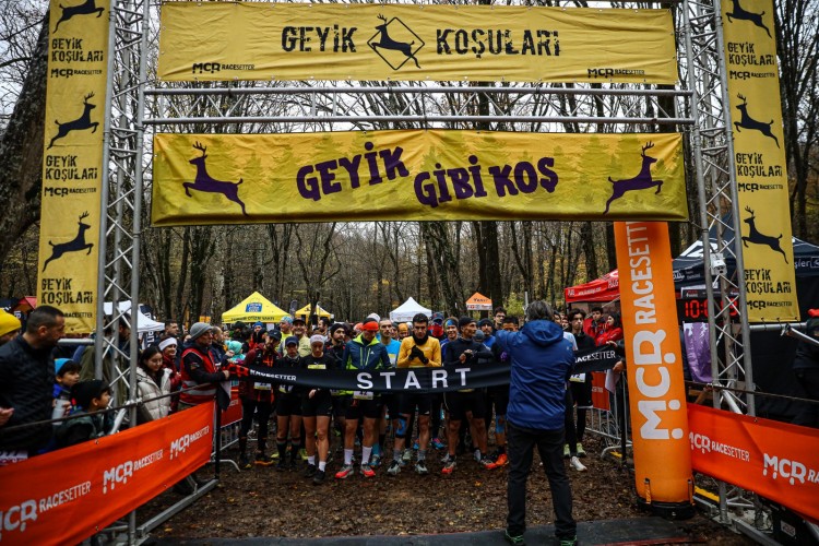 Belgrad Ormanını geyikler bastı