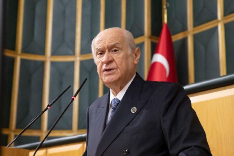 Bahçeli'den sokak hayvanları hakkında açıklama: MHP üzerine düşeni yapacaktır