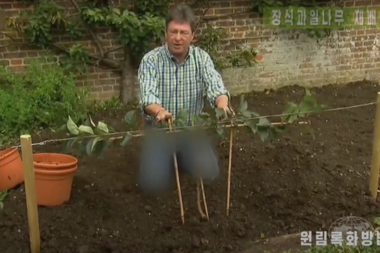 Kuzey Kore televizyonu kot pantolonu sansürledi