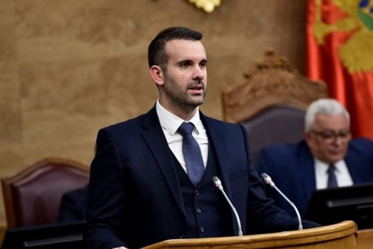 Spajic: Karadağ'daki Sırplar, nüfusumuzun önemli bir kısmını oluşturuyor