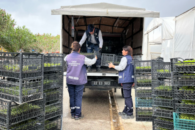Eskişehir'den yerel tohum fidesi konusunda dayanışma