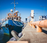 Gemilere Verilen Kılavuzluk Hizmetleri Emniyeti Yönergesi 1 Temmuz'da yürürlüğe giriyor