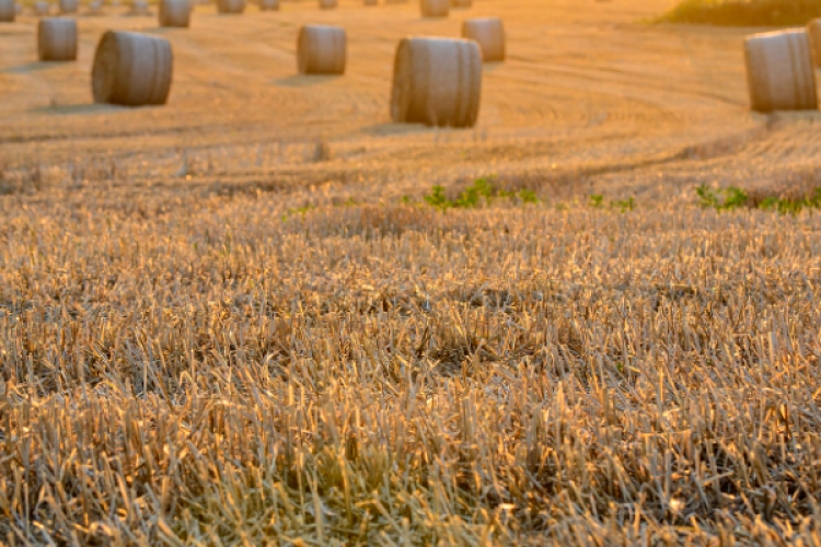 Çanakkale'de yangın tedbirleri kapsamında hasat saatleri kısıtlandı