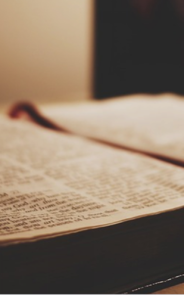 Osmangazi'den kadınlara özel kitap servisi