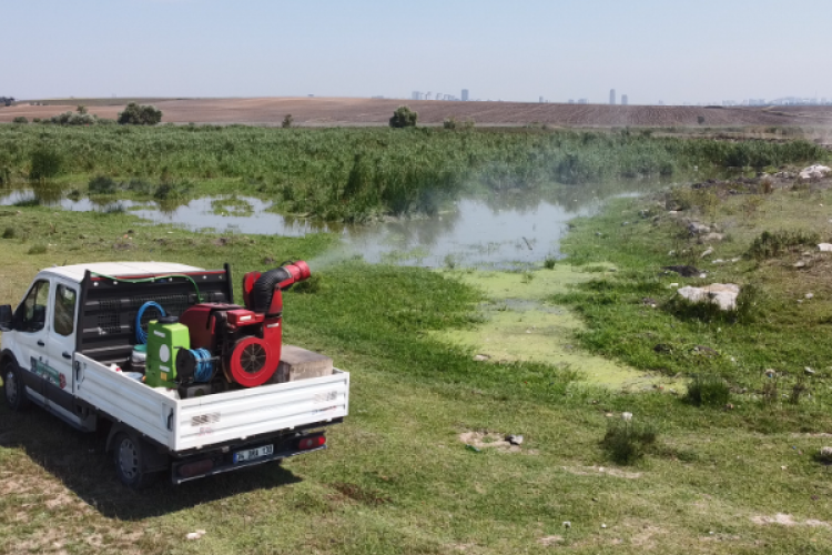 İstanbul'da vektörle mücadelede yoğunluk arttı