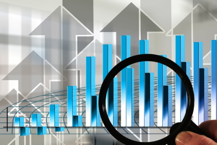 Loras Holding'in sermaye artırımı