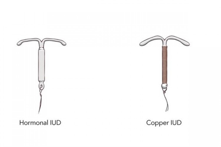 Grönlandlı kadınlar Danimarka devletine doğum kontrolü 'ihlali' nedeniyle dava açtı