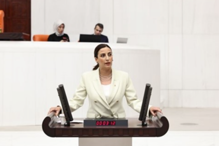 DEVA Partili Rızvanoğlu, Salda Gölü'ne asfalt dökülmesini Bakan Kurum'a sordu