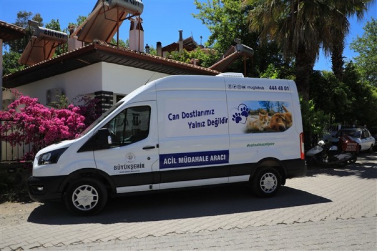 Muğla'da acil müdahale aracı sahipsiz hayvanlar için hizmet veriyor