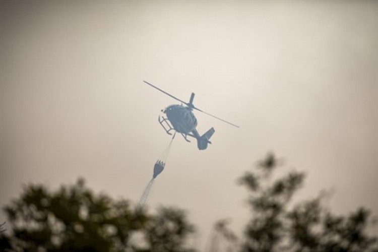 Balıkesir ve Edirne'de çıkan orman yangını kontrol altına alındı