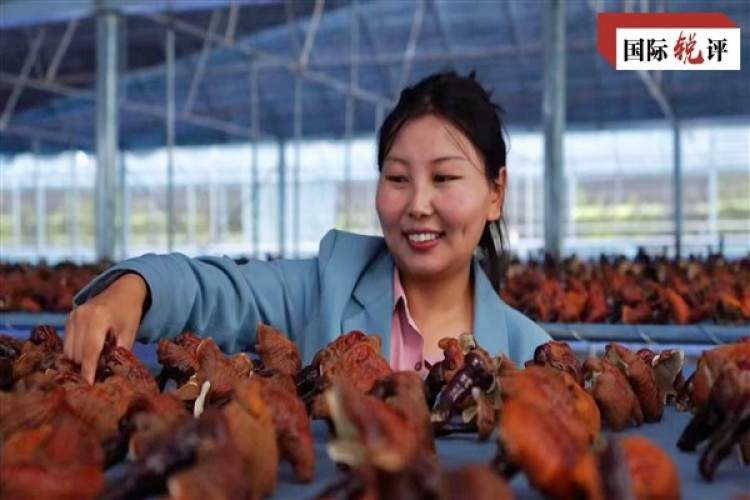 Tibet'te gençleri iş kurmaya çeken şey nedir?