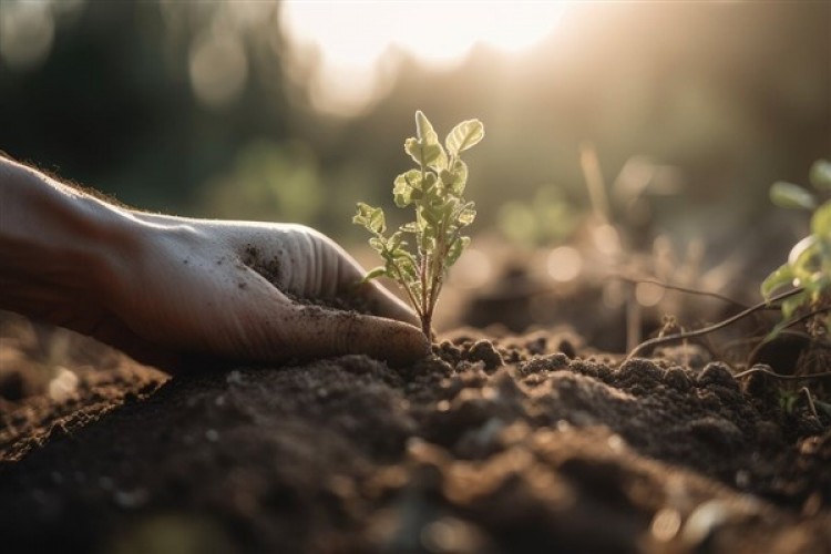 Bakan Yumaklı: Üretimin ve üreticinin yüzyılında tohumlarımız yeşeriyor
