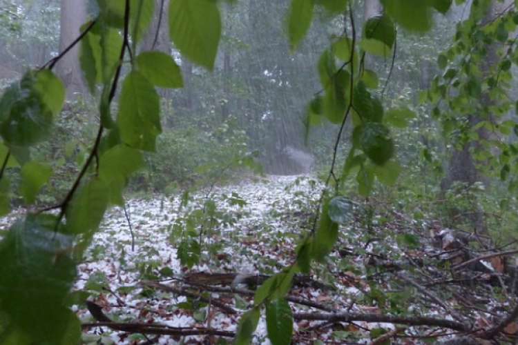 MGM'den kuvvetli yağış ve rüzgar uyarısı