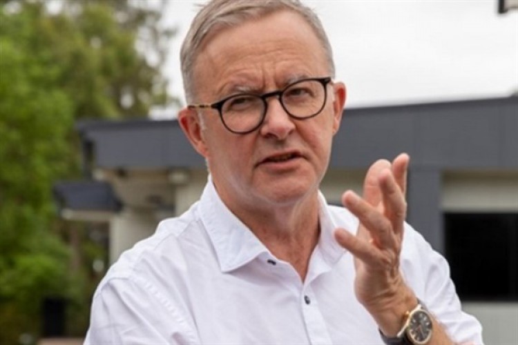 Albanese: Ticaret, Avustralya'daki her dört işten birini desteklemektedir