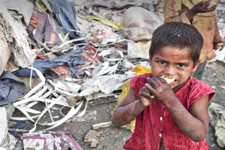 2023 yılında dünya genelinde her 11 kişiden 1'i açlıkla karşı karşıya kaldı