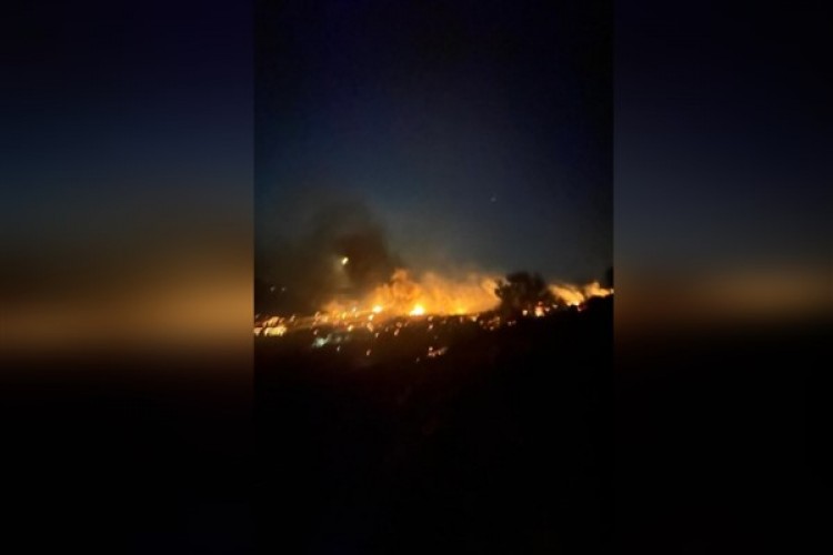 Dikili'de çıkan yangın kontrol altına alındı