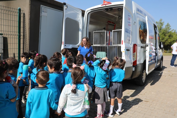 Muğla'da Geçici Hayvan Bakımevi'ni 24 bin 31 kişi ziyaret etti