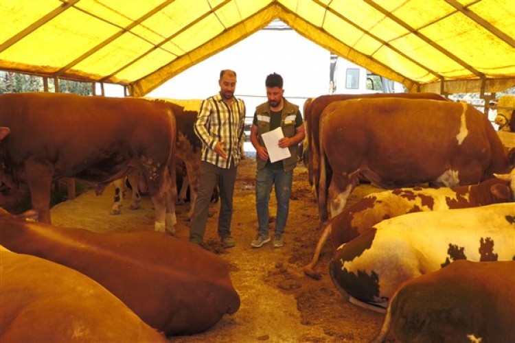 Esenyurt Belediyesi'nden kurbanlıklara kontrol