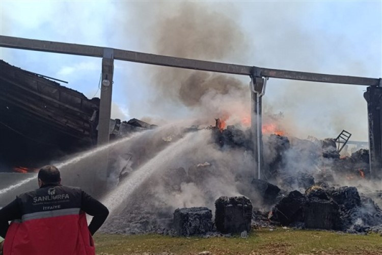 Şanlıurfa'da fabrika yangını