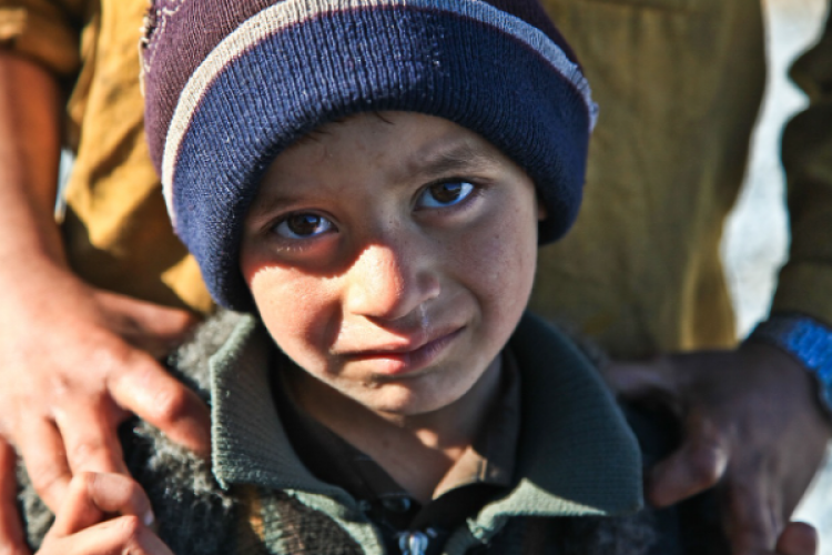 BM İnsan Hakları Yüksek Komiseri Türk: "Barış olmadan diğer tüm haklar ortadan kalkar"